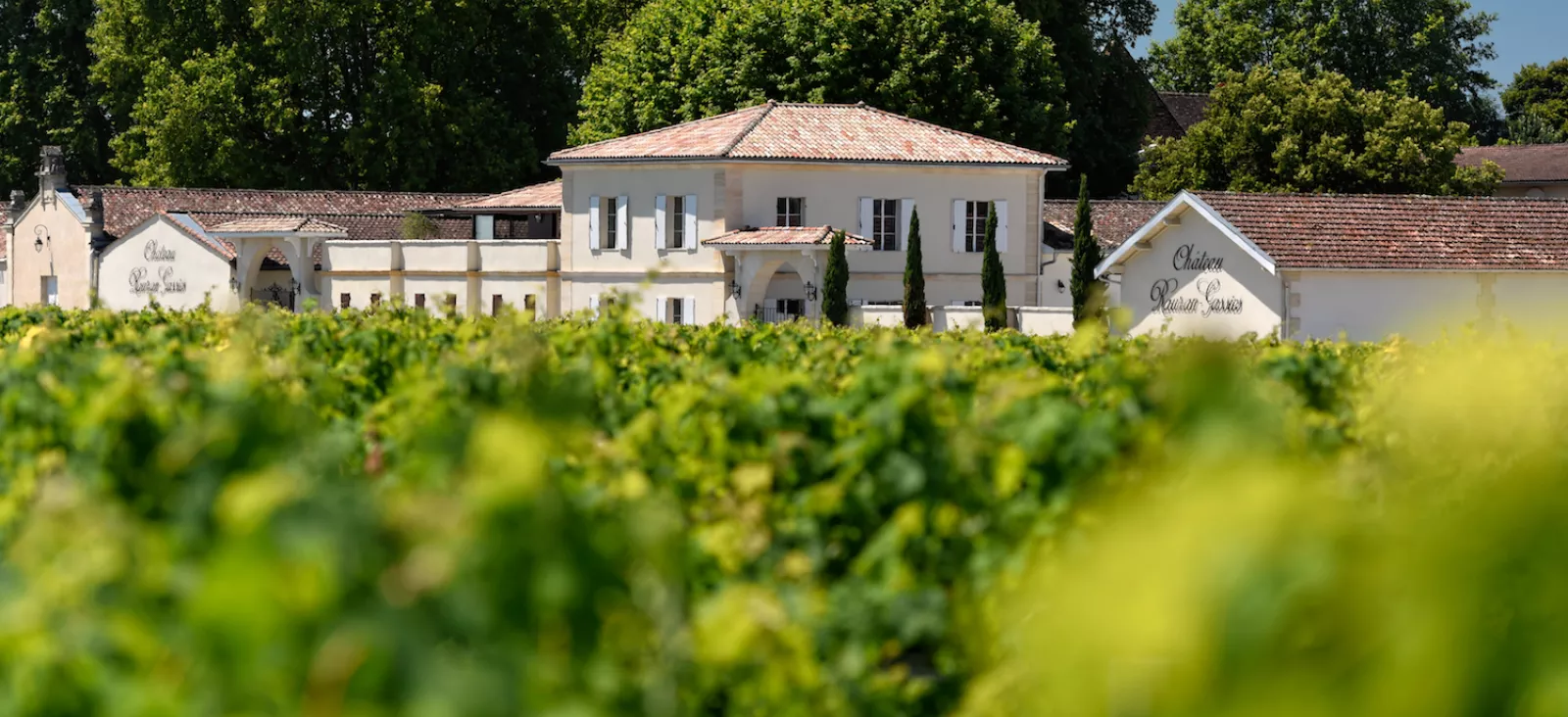 Château Rauzan-Gassies - vignoble durable Bordeaux