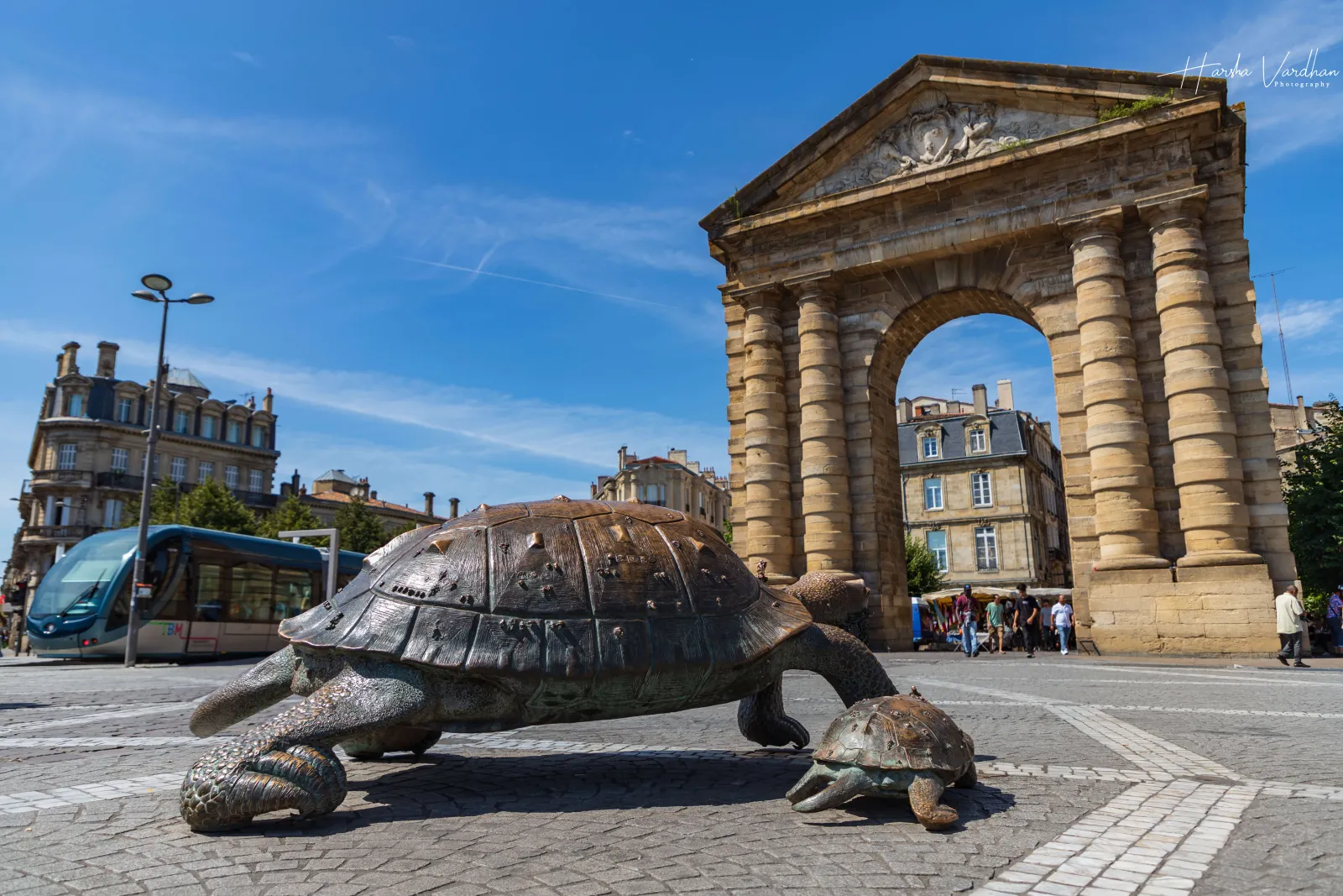Tortues Place de la Victoire