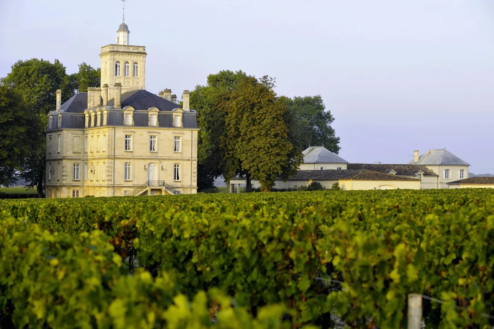 Chateau Larose Trintaudon