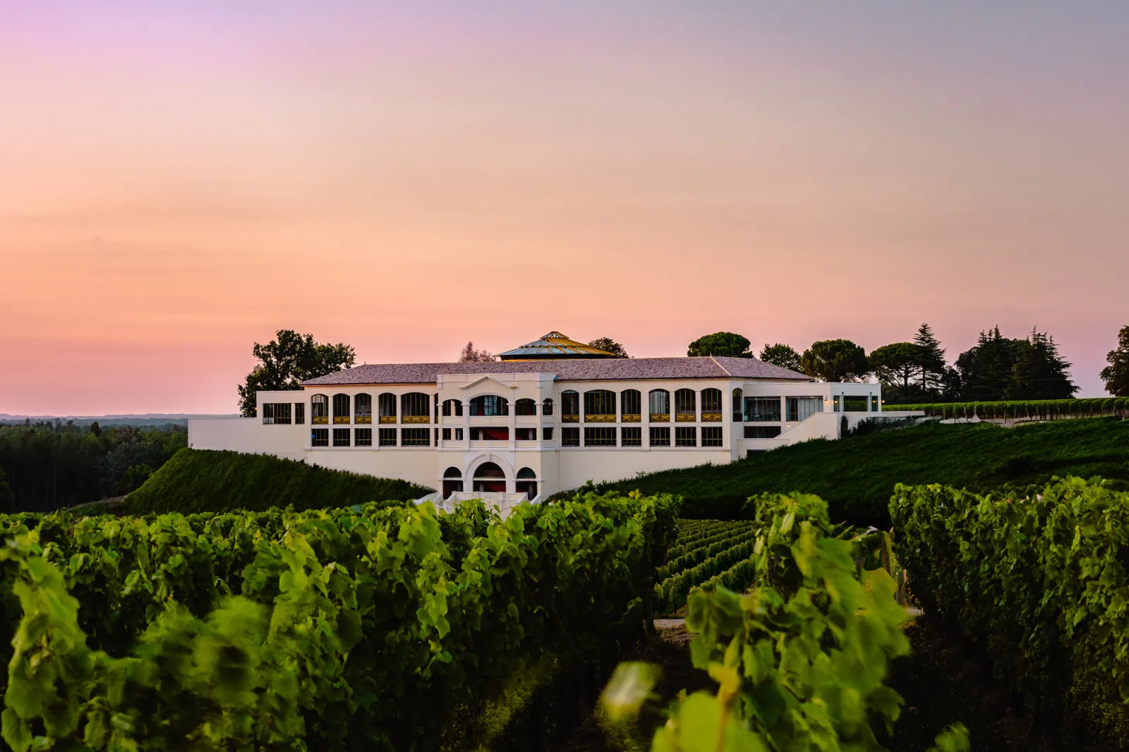 Château Plain Point à Bordeaux : bâtiment blanc moderne avec façade élégante surplombant des vignobles, au coucher du soleil avec ciel rose et mauve