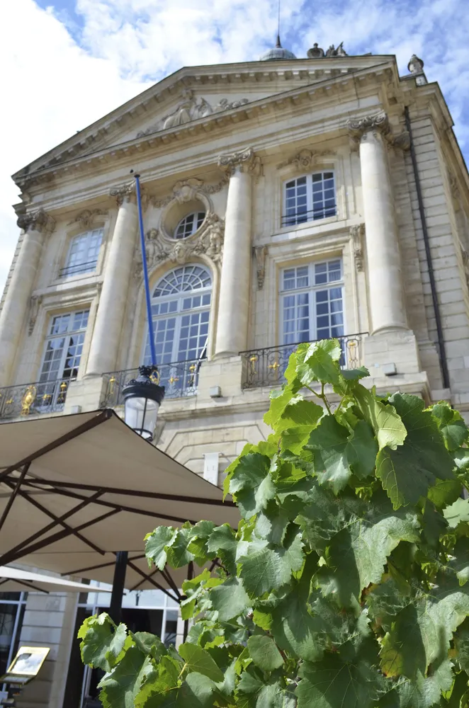 Façade néoclassique du Palais de la Bourse de Bordeaux avec colonnes blanches, fenêtres à meneaux et décorationsculptées, vue de la terrasse avec parasol et plantes vertes