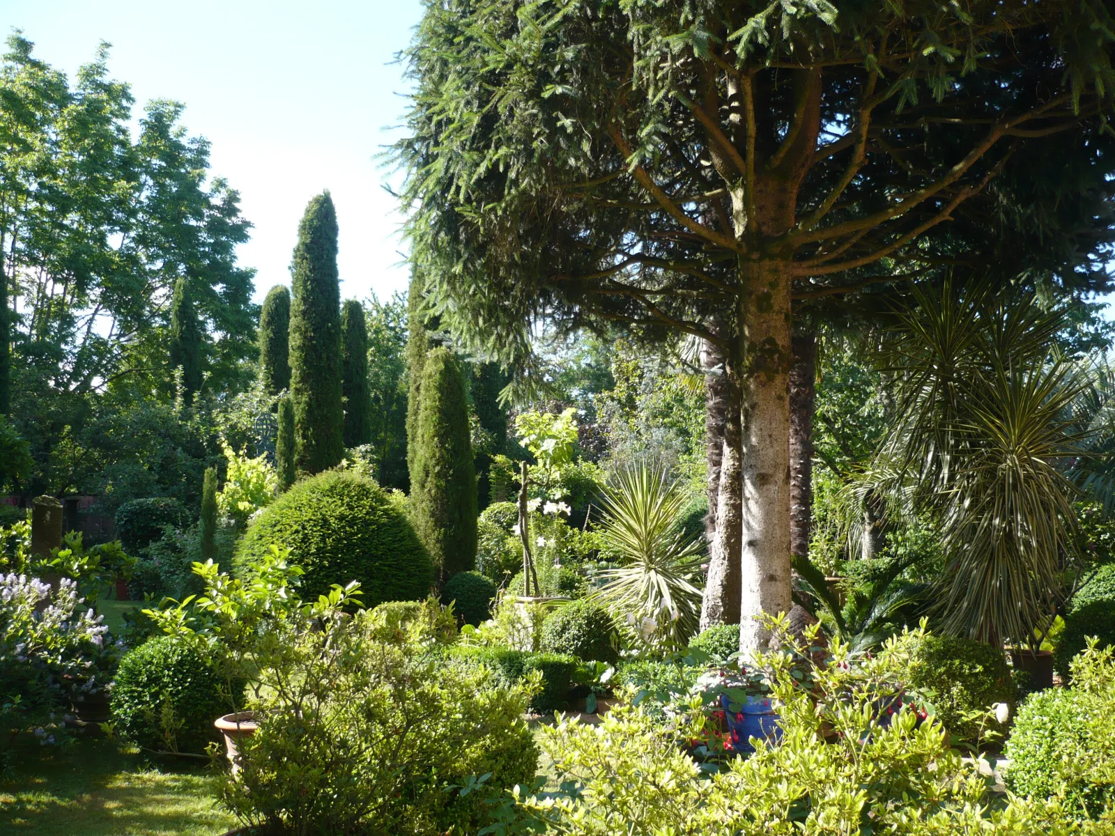Vue du Jardin du Clozet à Bordeaux avec cyprès, grands arbres centenaires, palmiers, végétation luxuriante et allées plantées de verdure.