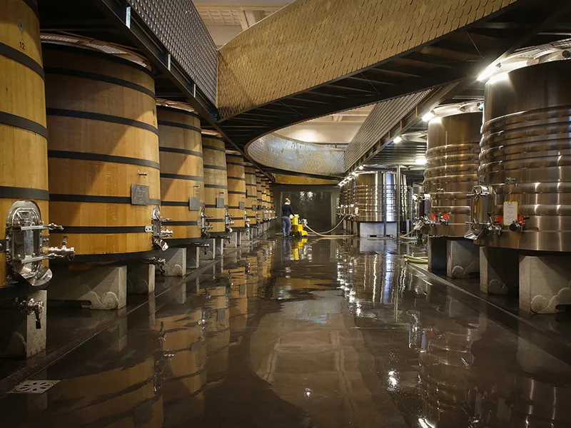 Cave de vinification du Château Marquis d'Alesme Becker à Bordeaux avec des tonneaux en bois et en acier inoxydable alignés, sol mouillé reflétant la lumière