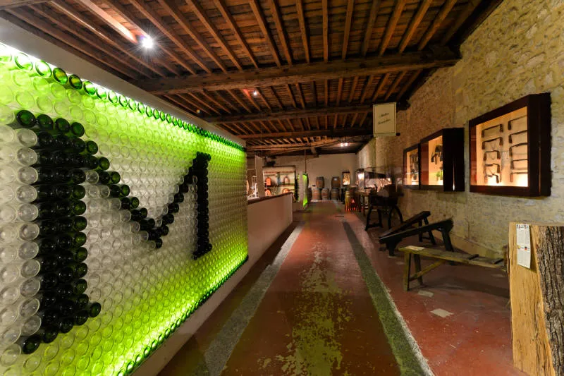 Intérieur du Musée des Arts et Métiers de la Vigne et du Vin à Bordeaux, présentant une installation d'art contemporain avec des bouteilles de vin vertes et noires formant un motif graphique sur le mur gauche, avec des vitrines d'exposition et des bancs l