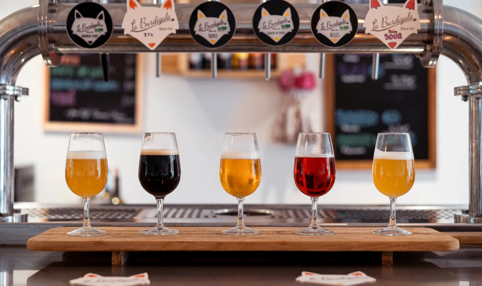 Dégustation de cinq bières artisanales de la brasserie Burdigala à Bordeaux, présentées dans des verres alignés sur un comptoir en bois, avec les robinets de distribution et les étiquettes des bières en arrière-plan