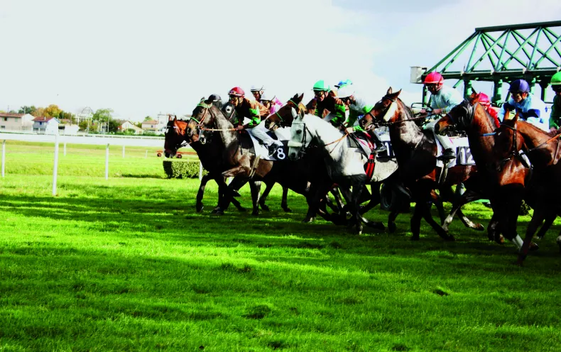 Groupe de chevaux de course avec leurs jockeys en couleurs vives galopant sur l'herbe verte de l'hippodrome de Bordeaux-Le Bouscat, avec les installations de la piste en arrière-plan.