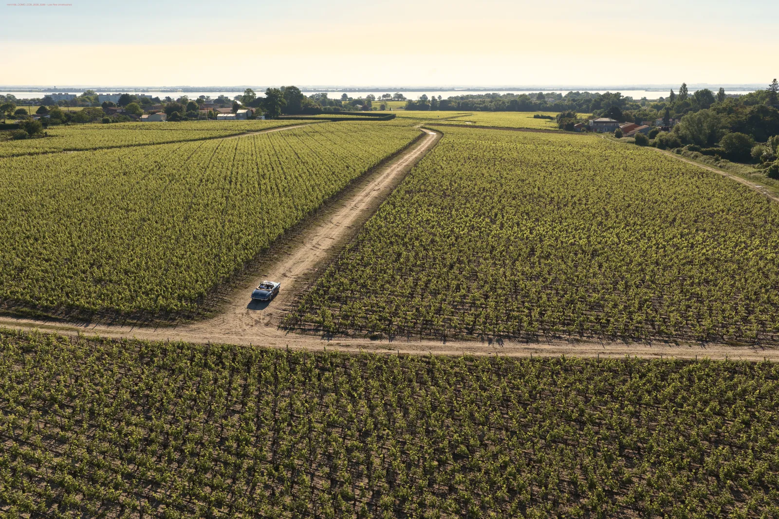 Vue aérienne d'un vignoble du Bordelais avec un chemin de terre traversant les rangées de vigne, une voiture visible au loin, et des bâtiments agricoles en arrière-plan près d'un plan d'eau.