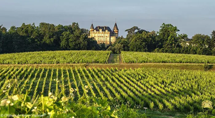 Vue panoramique du château de Sauternes dominant des vignobles en rangées régulières dans la région viticole de Bordeaux