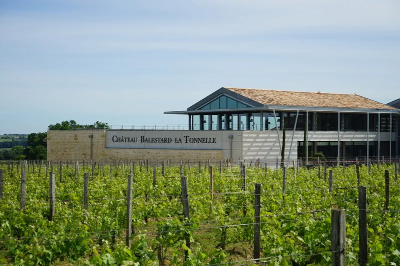 Vue du Château Balestard La Tonnelle à Bordeaux avec ses vignobles en premier plan et son bâtiment moderne aux façades vitrées