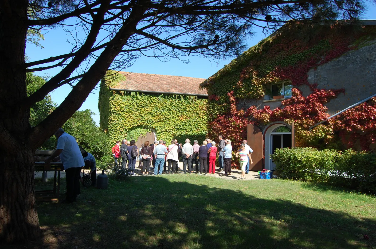Groupe de visiteurs réunis dans le jardin du Château Pichon Bellevue à Bordeaux, devant une façade couverte de lierre rouge et jaune d'automne, sous un arbre aux branches étendues.