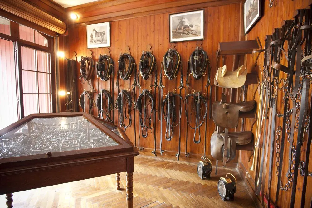Intérieur du musée du cheval à Bordeaux montrant une collection de selles, harnais et équipements équestres exposés sur les murs en bois, avec des gravures équestres et une vitrine de présentation au centre