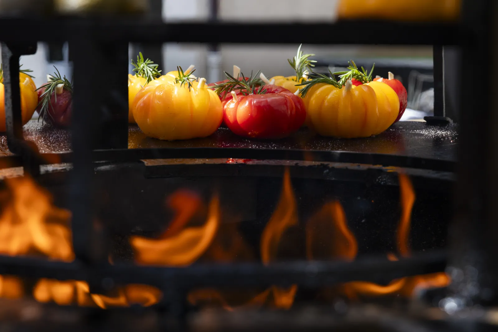 Tomates jaunes et rouges garnies de romarin grillées sur une plaque de cuisson au-dessus de flammes, à la Terrasse de Lafaurie à Bordeaux.