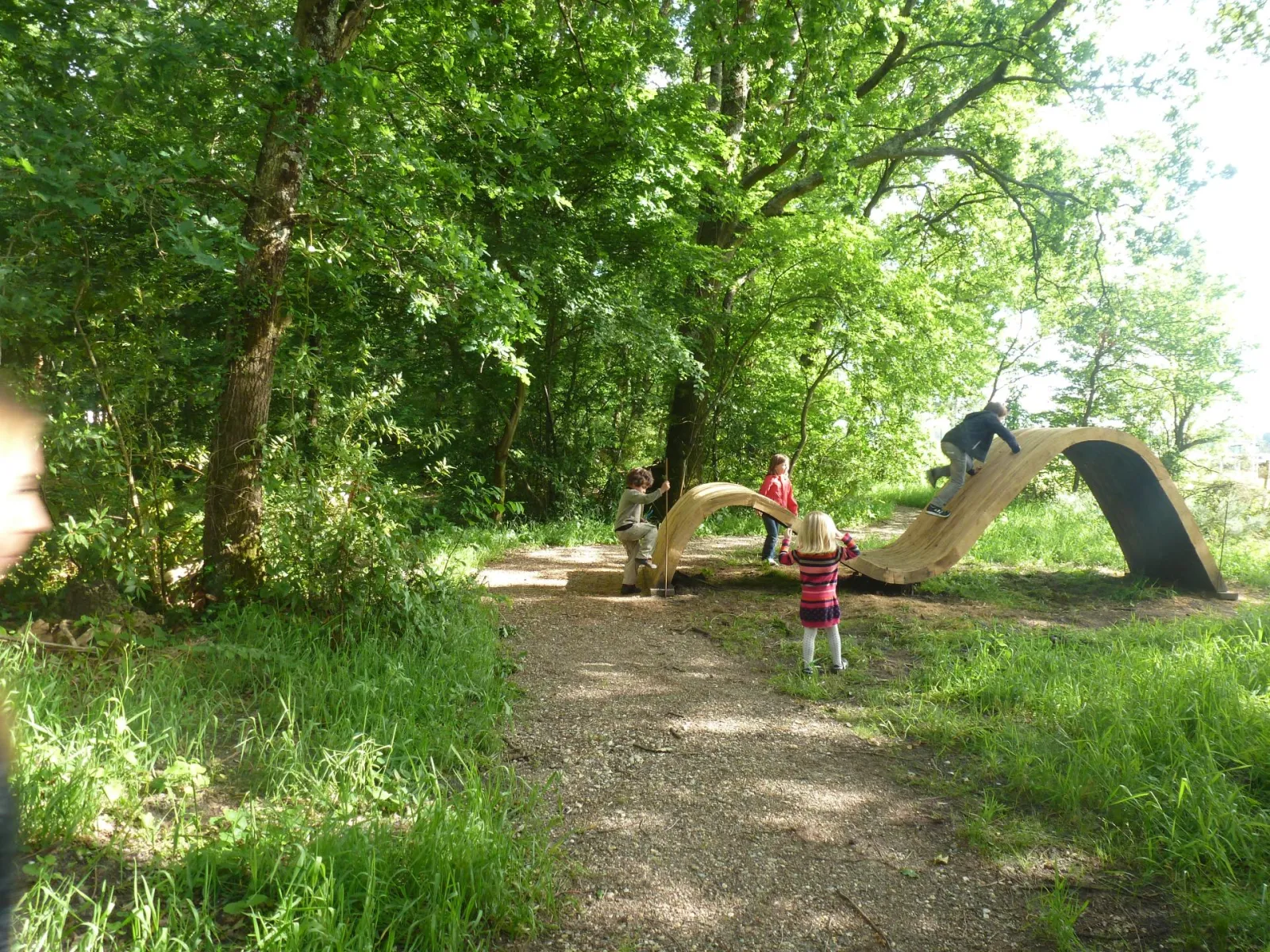 Aire de jeu en forêt au Bois du Bouscat à Bordeaux avec des enfants utilisant des structures de jeu en bois courbes et un tunnel, entourés de grands arbres.