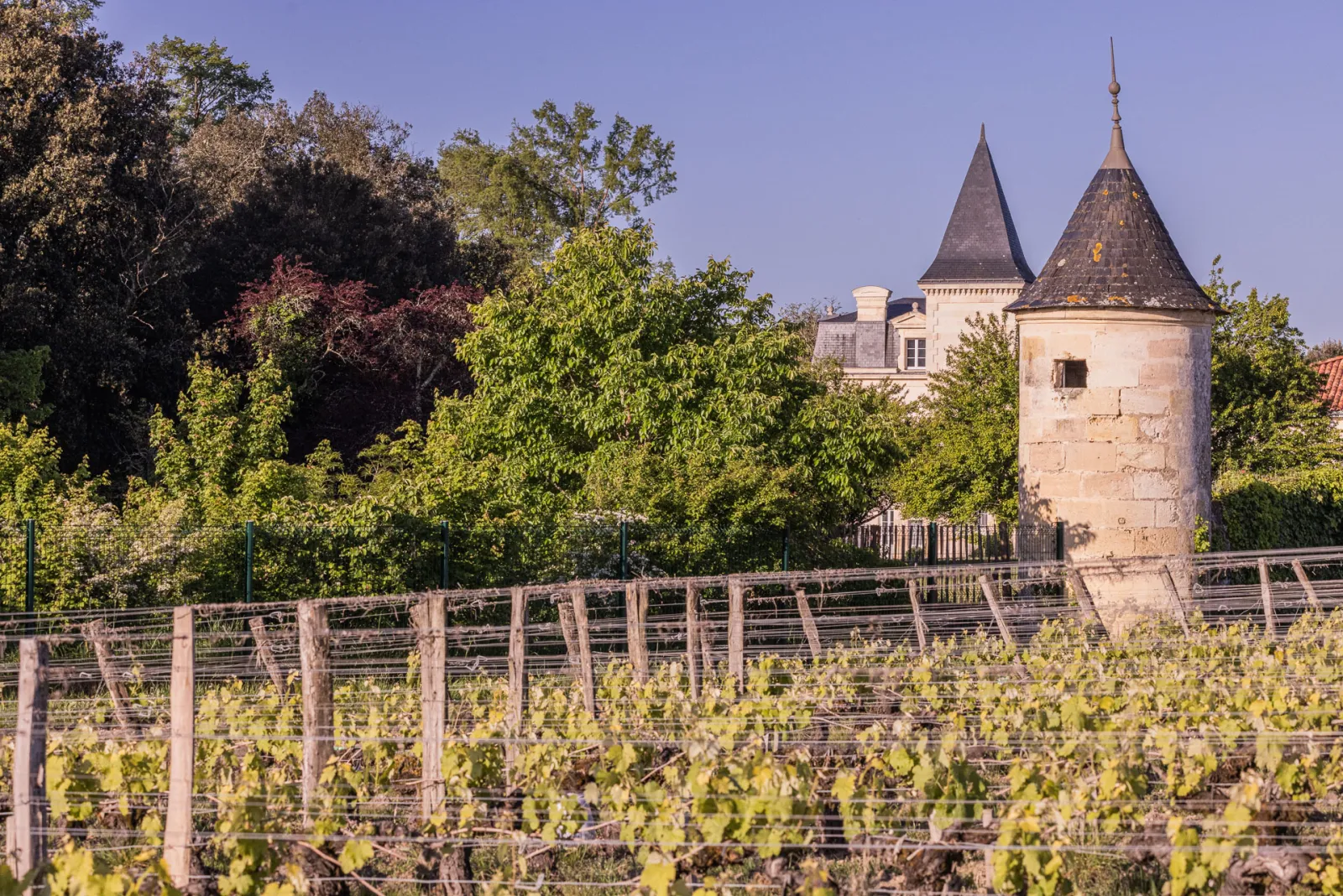 Le Château Sénéjac à Bordeaux avec ses tours coniques caractéristiques, entouré de vignobles en terrasse et de végétation luxuriante sous un ciel bleu.