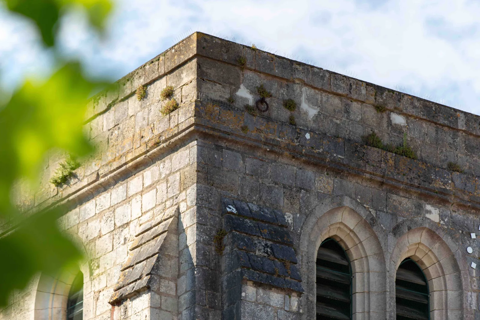 Détail architectural de la Basilique Notre-Dame-de-la-fin-des-Terres à Bordeaux : coin de pierre avec arches gothiques et patine ancienne, partiellement obscurci par du feuillage vert.