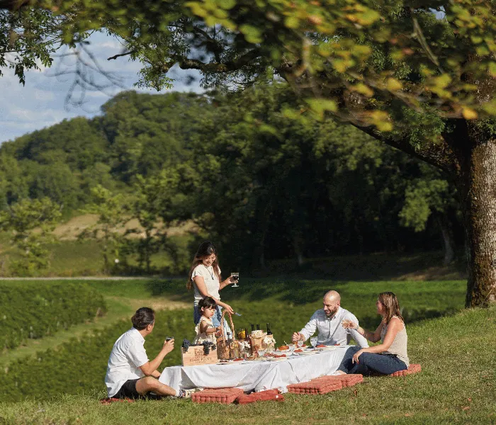Quatre personnes pique-niquent sur l'herbe verte près d'un grand arbre, avec une nappe blanche, des provisions et des verres, dans un parc verdoyant avec des collines boisées en arrière-plan.