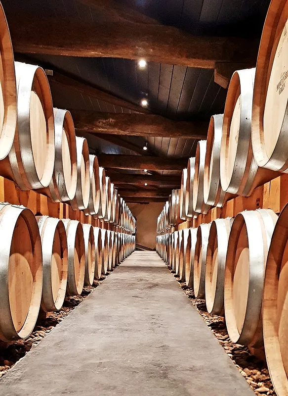 Cave de vieillissement avec rangées de tonneaux de chêne alignés symétriquement de chaque côté d'une allée centrale, plafond en bois foncé avec éclairage intégré, au Château Monconseil-Gazin à Bordeaux.