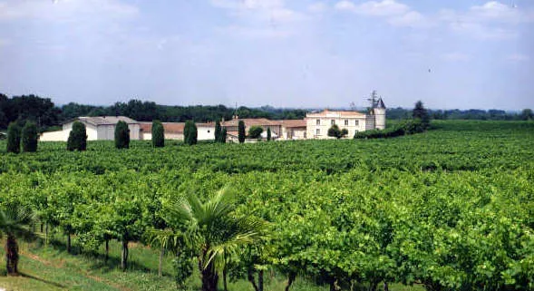 Château Lafite entouré de ses vignobles à Pauillac, région de Bordeaux, avec ses bâtiments traditionnels et sa tour distinctive au milieu des rangs de vigne verte.