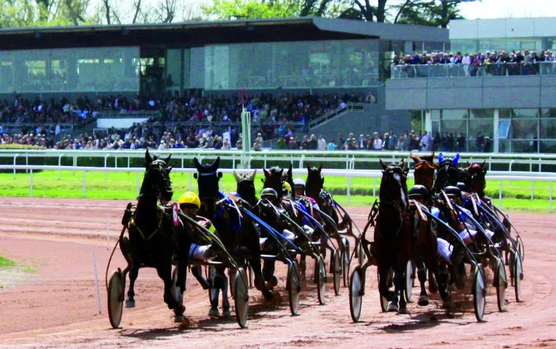 Course de chevaux attelés à l'hippodrome de Bordeaux-Le Bouscat avec plusieurs chevaux noirs tirant des sulkies devant les tribunes pleines de spectateurs
