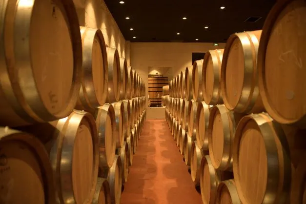 Chai de vieillissement du Château Yon-Figeac à Bordeaux avec des rangées de fûts de chêne alignés symétriquement dans une cave souterraine éclairée.