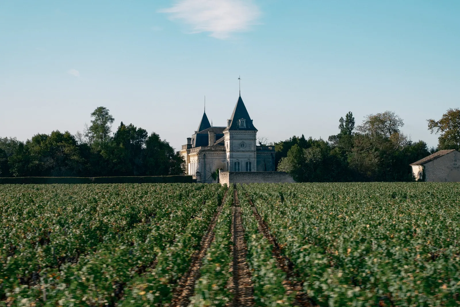 Château Tronquoy entouré de vignobles à Bordeaux, avec ses deux tours pointues caractéristiques dominants un champ de vigne sous un ciel dégagé