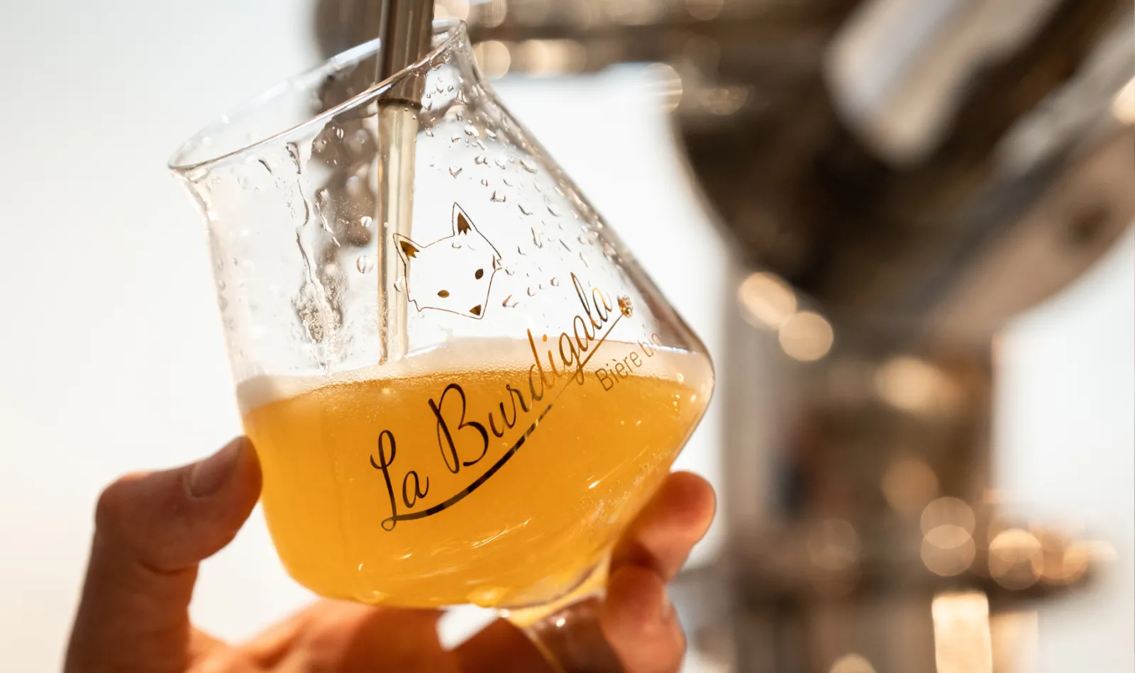 Verre de bière blonde La Burdigala tenu à la main, avec condensation et mousse, lors d'une visite de la brasserie bordelaise.