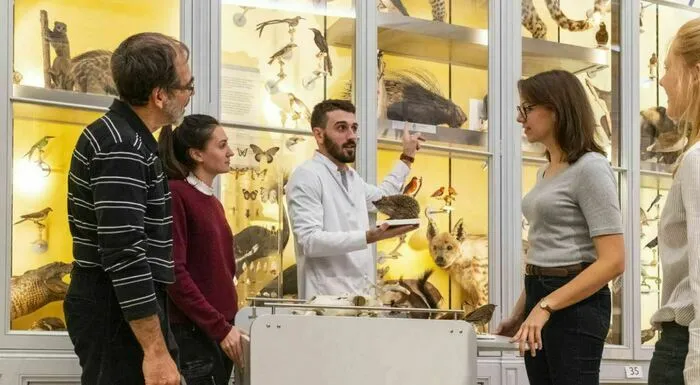 Un muséologue en blouse blanche explique des spécimens naturalisés à un groupe de visiteurs devant des vitrines de musée remplies d'animaux empaillés et de papillons.