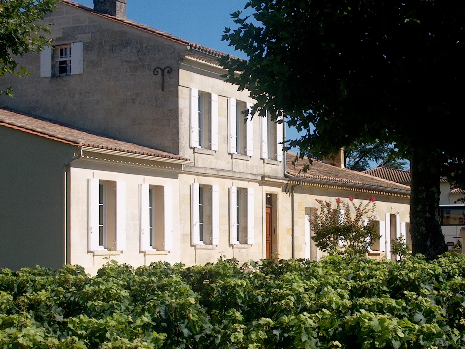 Façade du Château Laniote à Bordeaux, maison de maître aux murs blancs avec quatre grandes fenêtres à volets gris, entourée de vignes et d'arbres, sous un ciel bleu ensoleillé