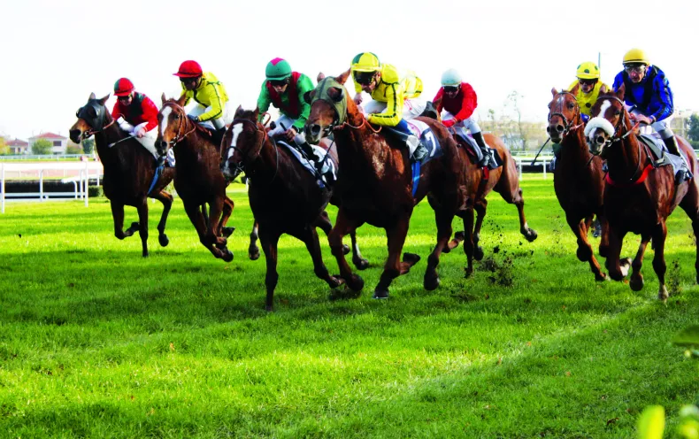 Course de chevaux avec jockeys en couleurs vives sur l'hippodrome de Bordeaux-Le Bouscat, galopant sur un terrain herbeux vert.