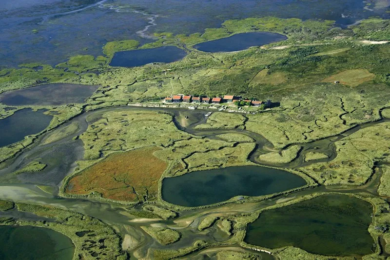 Vue aérienne de l'Île aux Oiseaux à Bordeaux avec ses maisons traditionnelles, lacs et méandres fluviaux entourés de végétation verte