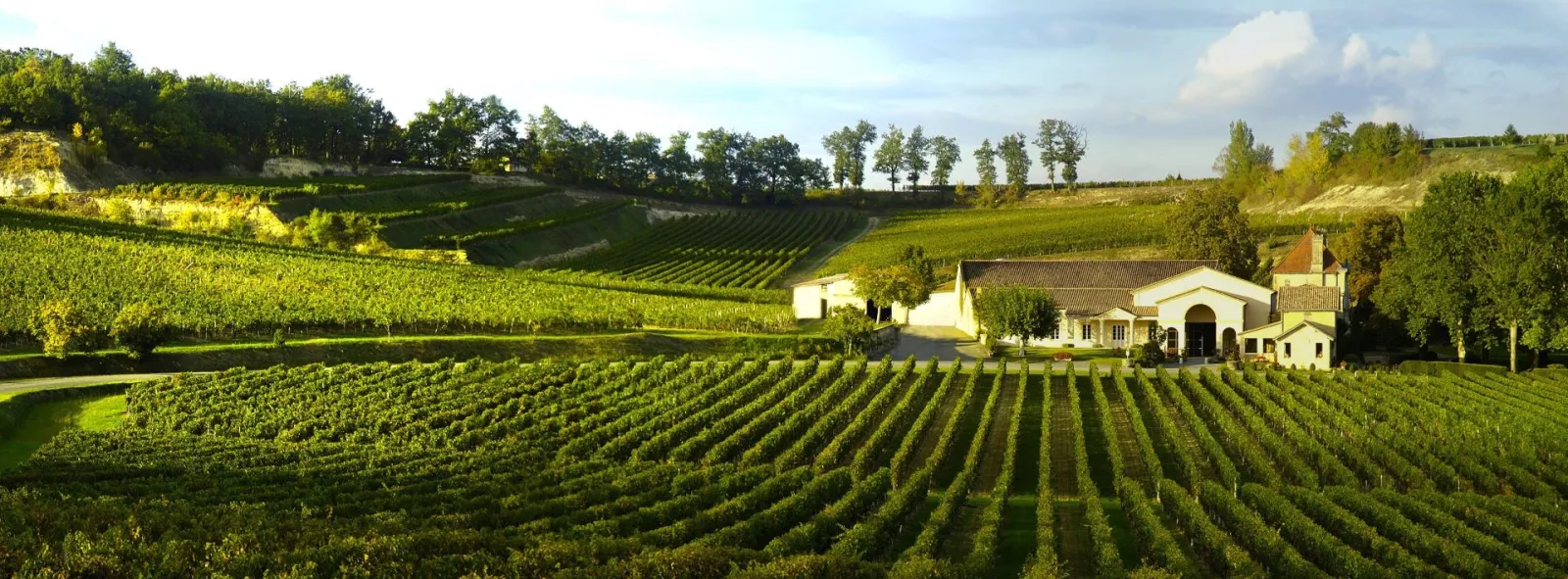 Vue panoramique du Château Mangot entouré de vignobles en terrasses dans la région de Bordeaux, avec des bâtiments jaunes et blancs nichés dans un paysage vallonné verdoyant.