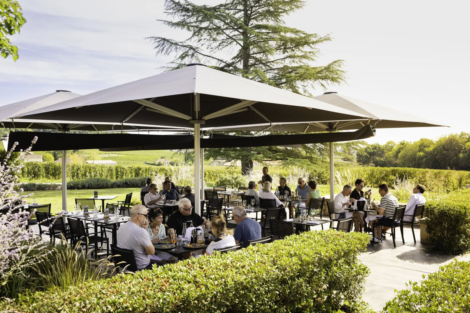 Terrasse ombragée de L'Atelier de Candale à Bordeaux avec clients assis aux tables noires sous une large voile grise, entourée de végétation luxuriante et de champs verdoyants en arrière-plan.