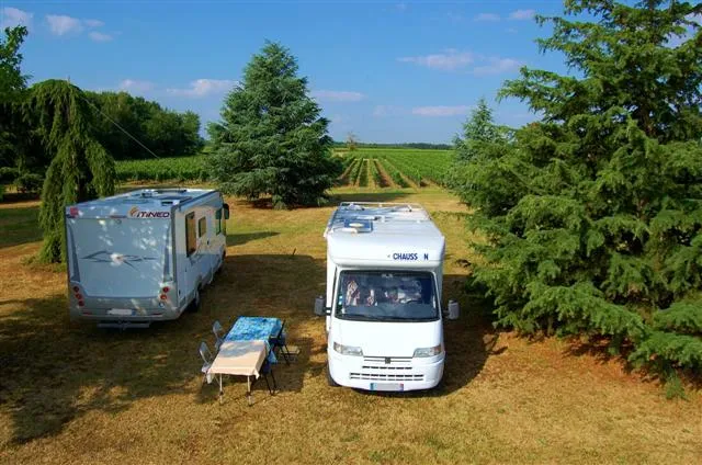 Deux camping-cars stationnés dans un vignoble bordelais près du Château Pichon Bellevue, avec des rangées de vignes vertes en arrière-plan et des arbres ombrageant le site.