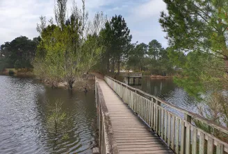 Bois des sources du Peugue
