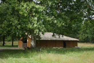 Bergerie historique des Matruques à Bordeaux, bâtiment en bois avec toit de tuiles entouré de grands chênes et d'herbe, clôture verte au premier plan.
