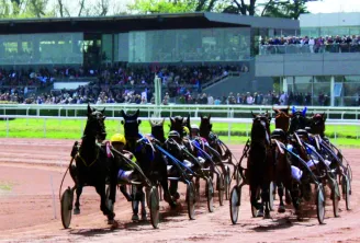 Course de chevaux attelés à l'hippodrome de Bordeaux-Le Bouscat avec plusieurs chevaux noirs tirant des sulkies devant les tribunes pleines de spectateurs