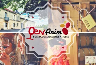 Collage montrant quatre images représentant l'œnologie à Bordeaux : une maison viticole, des tonneaux de chêne, une femme dégustant du vin rouge, et des barriques en cave. Logo Oenanim avec le slogan 'L'œnologie accessible à tous !'