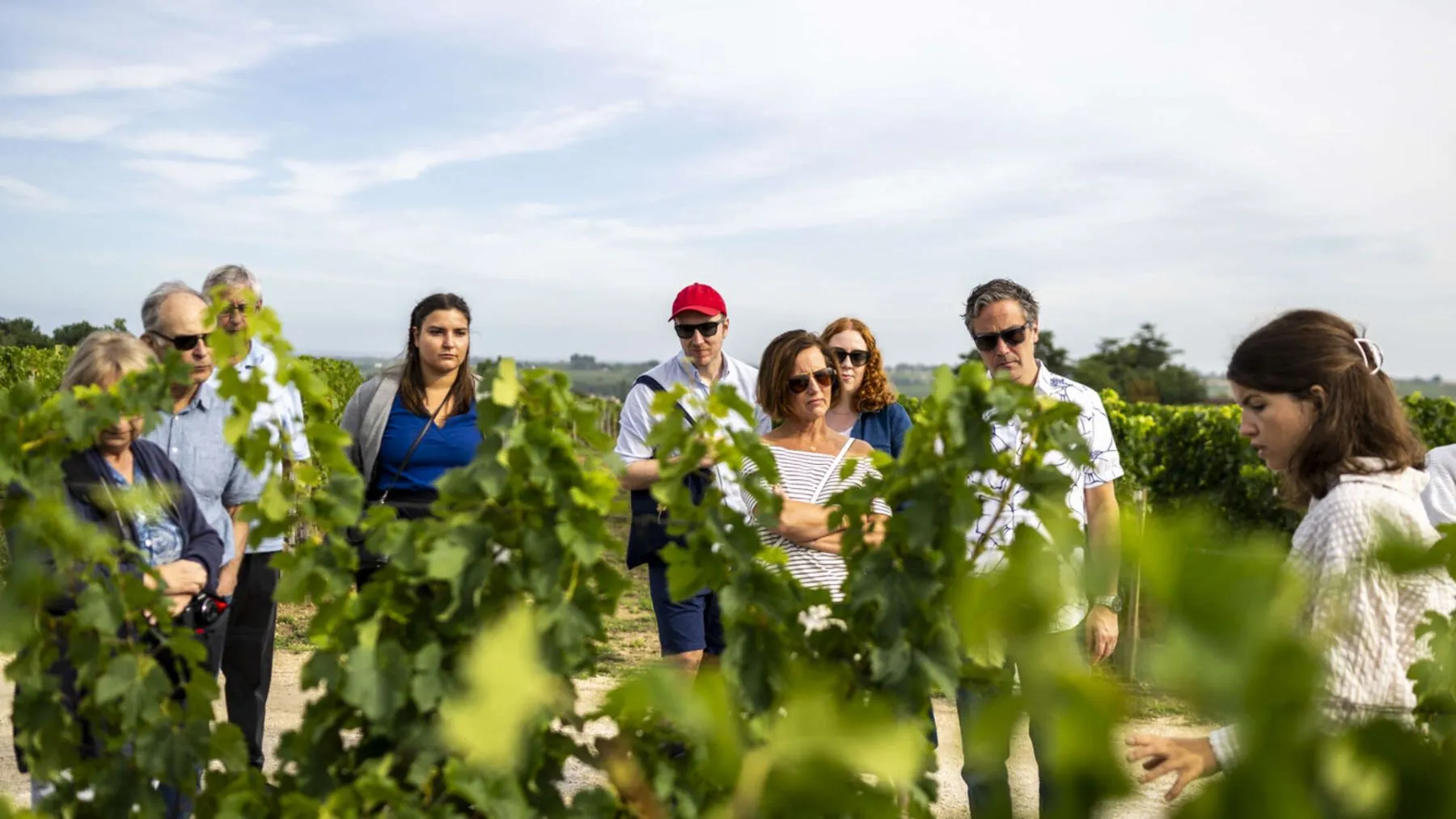 visiter le vignoble au départ de Bordeaux