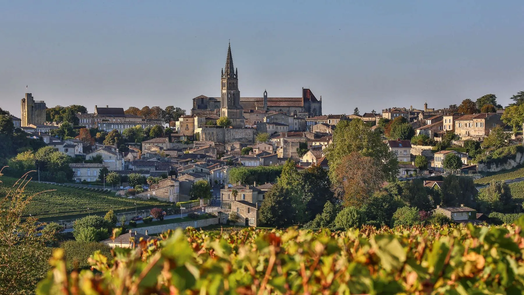 visiter saint-emilion en train