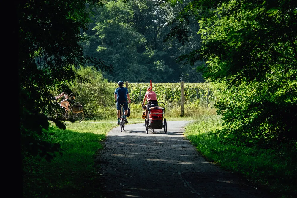 vélo dans le vignoble Bordeaux