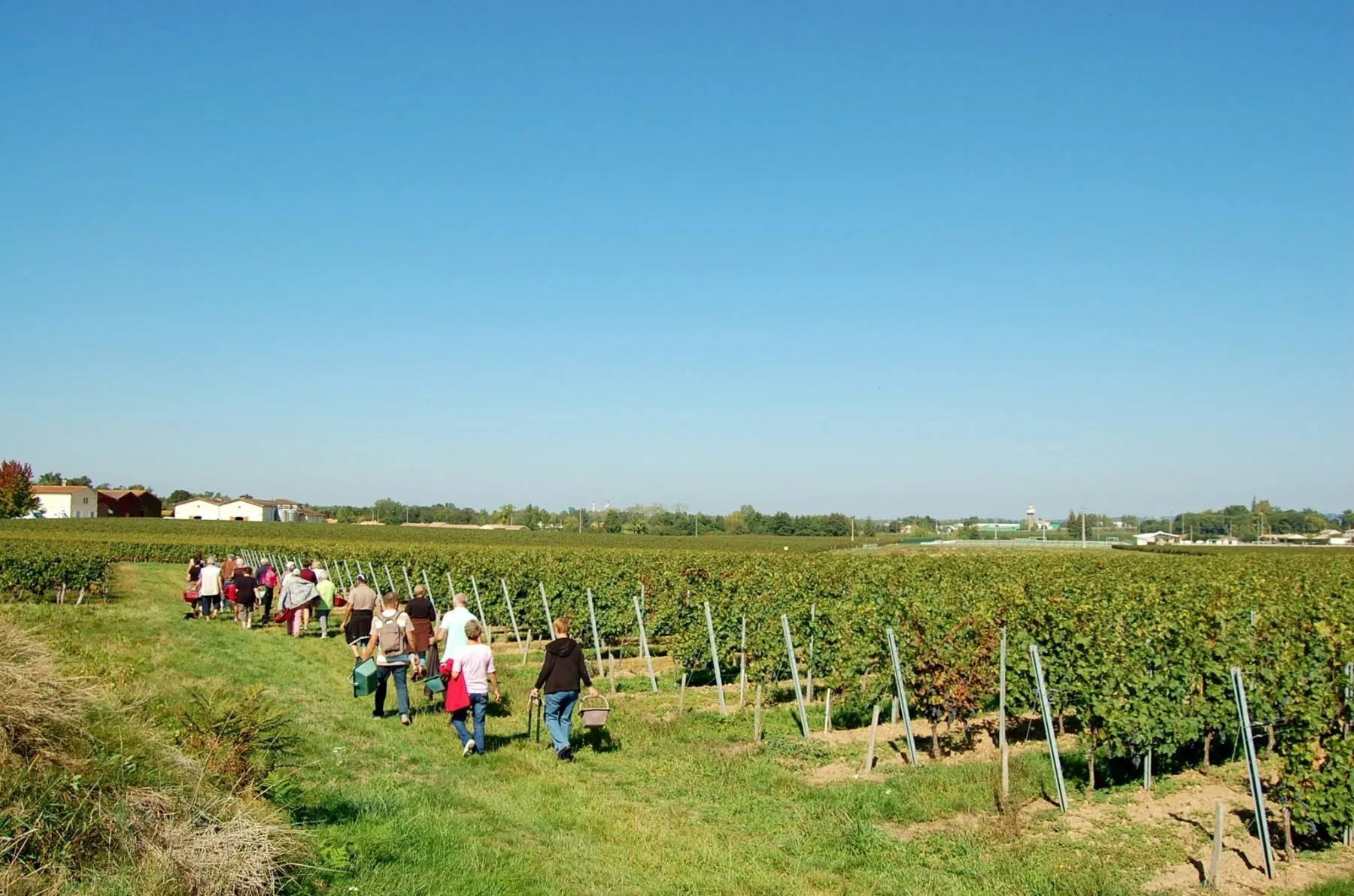 Randonnée dans le vignoble bordeaux