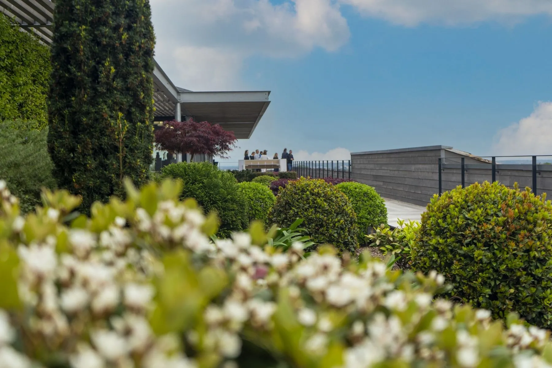 terrasses vignoble Bordeaux