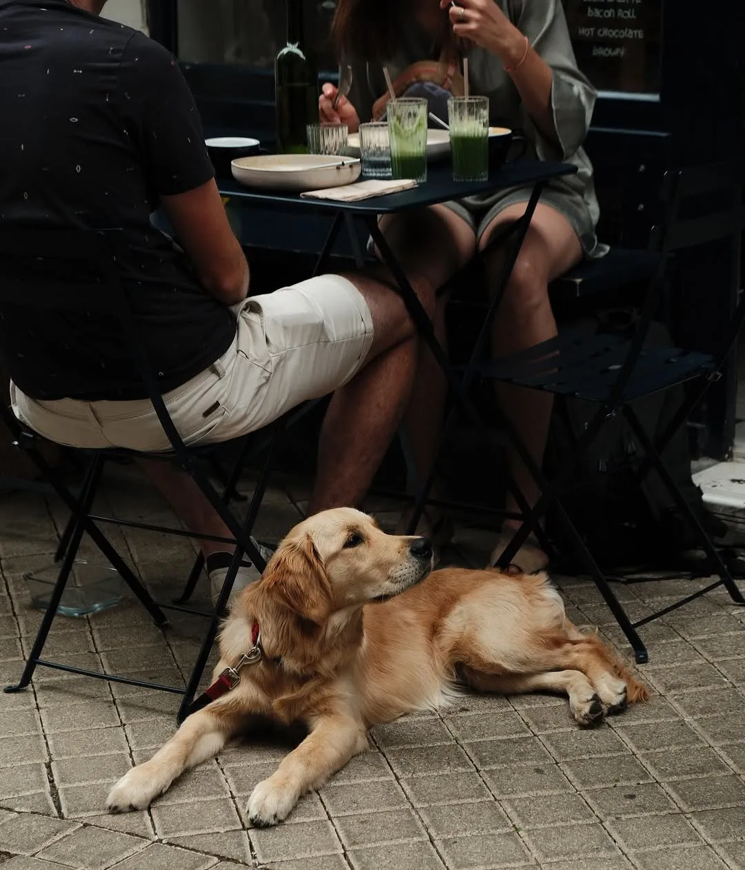 Bordeaux Dog friendly café bar