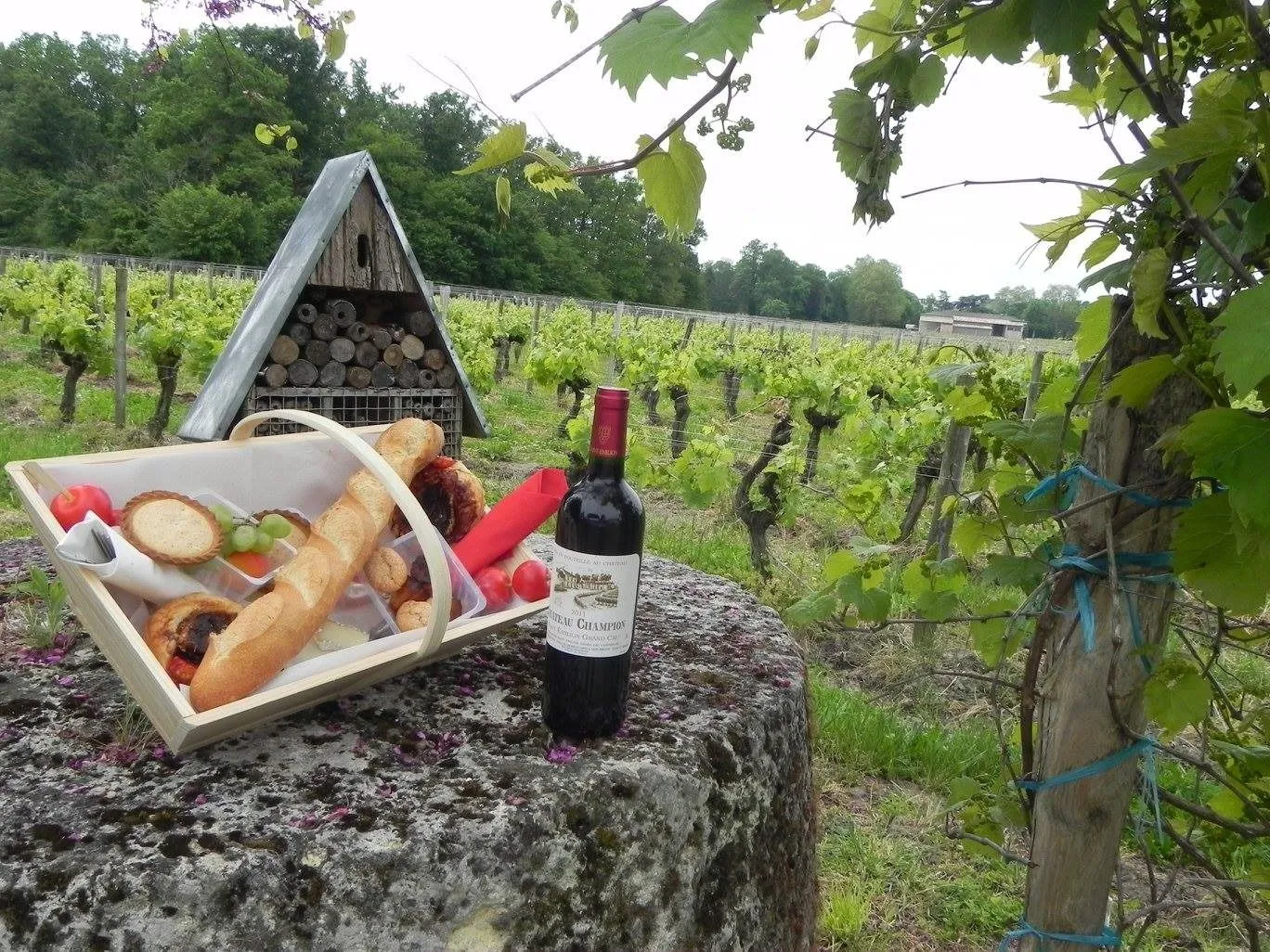 château champion accueil camping-car saint emilion