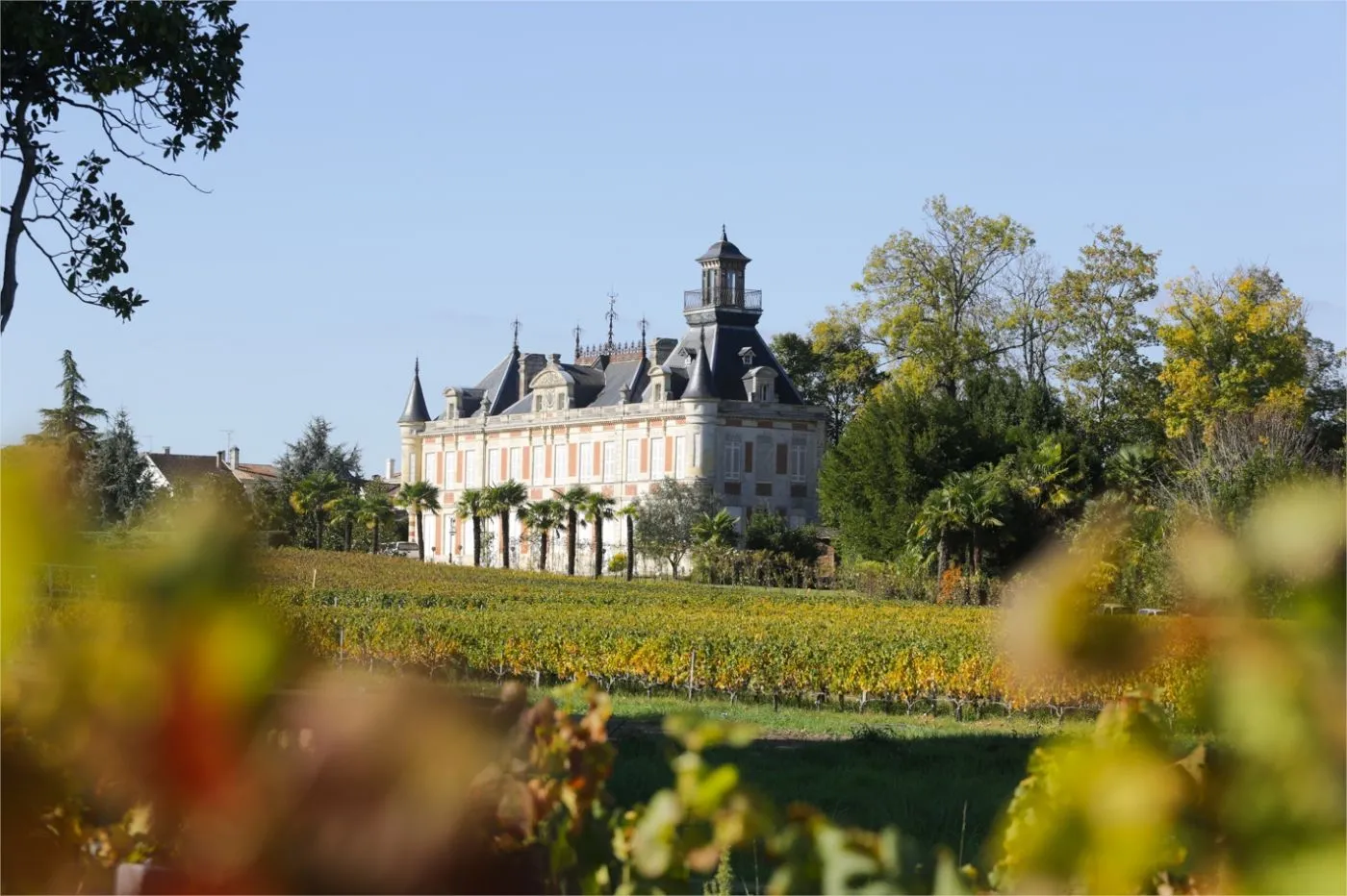 Château Marquis d’Alesme dans