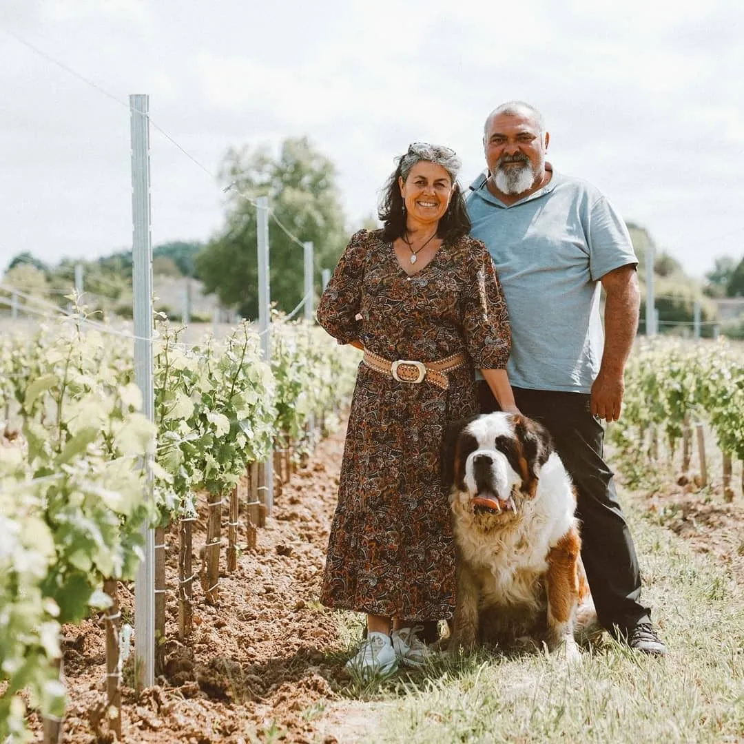 marche pédestre dnas les vignes Bordeaux