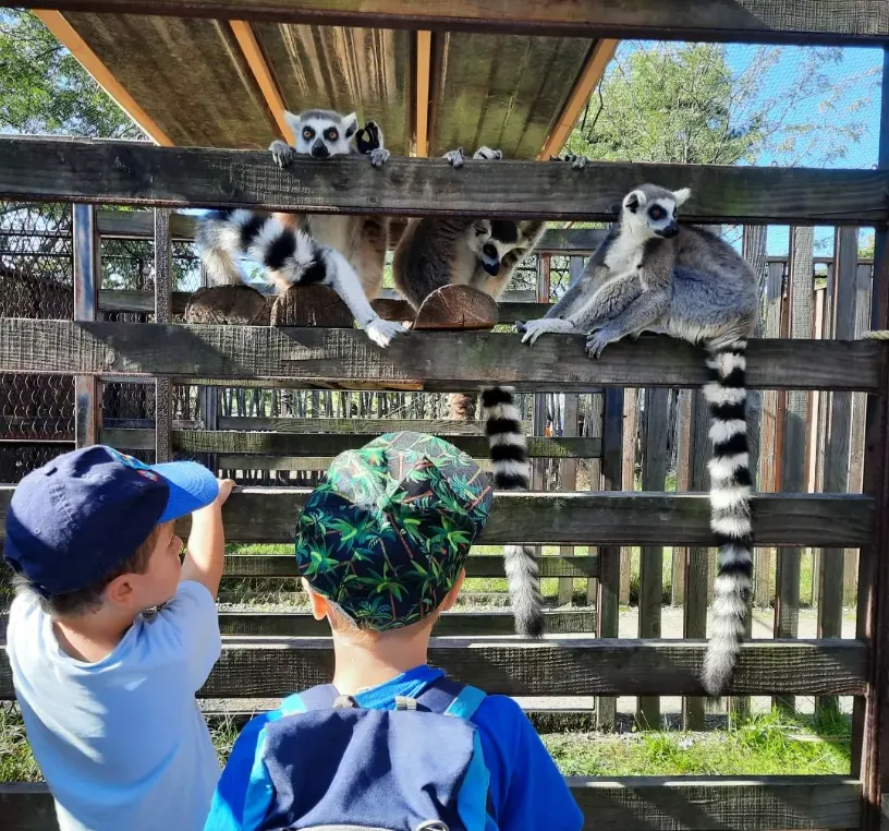 zoo Pessac avec enfants
