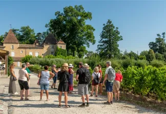 Visite en groupe du vignoble