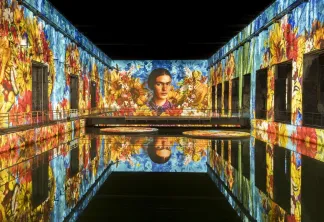 Matisse aux Bassins des Lumières