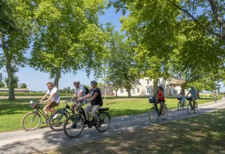 Vélo dans le vignoble